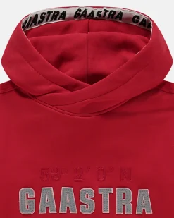 New Arctic Hoodie Gemaakt Van Biologisch Katoen Heren Truien En Sweaters