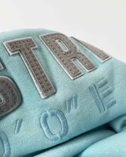 Discount Klassieke Arctic Fairtrade Hoody Heren Truien En Sweaters